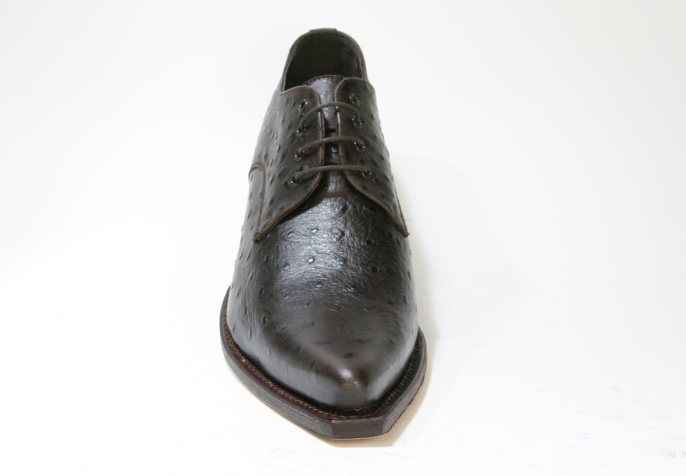 530 Sendra Schnürschuhe Avestruz Imit. Marron