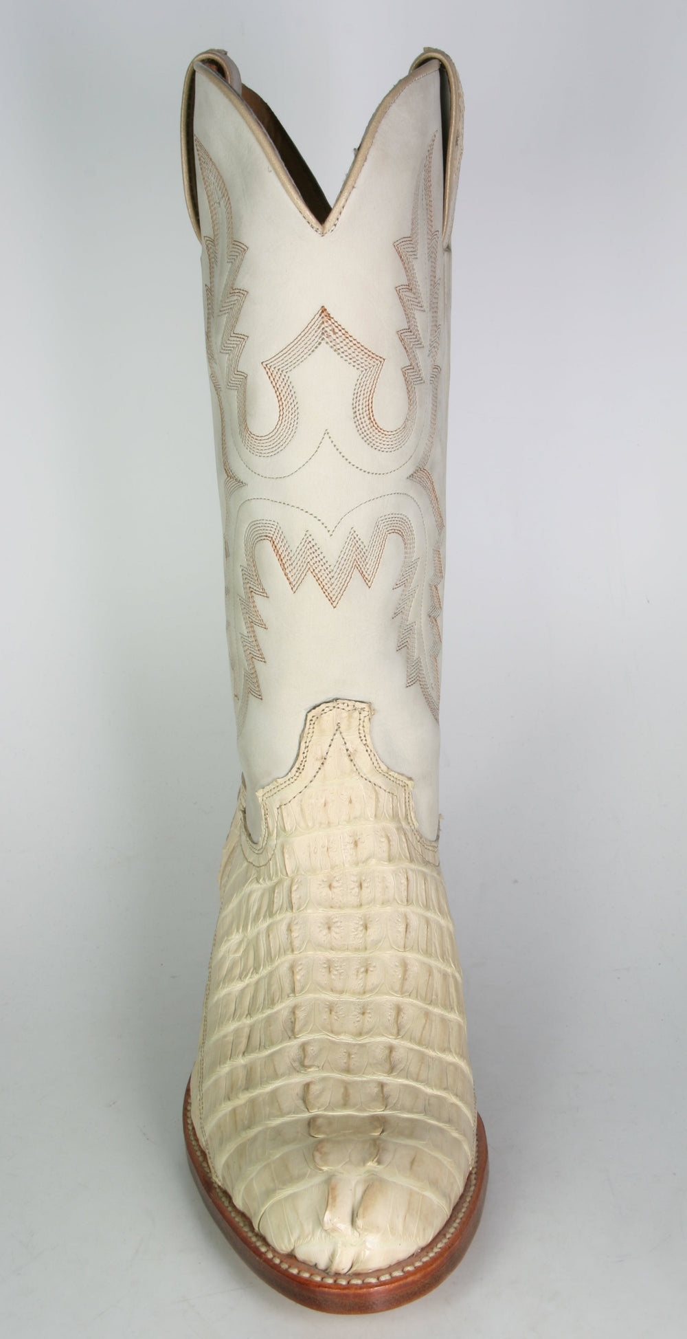 6908 Sancho Echt Kaiman hell Rücken